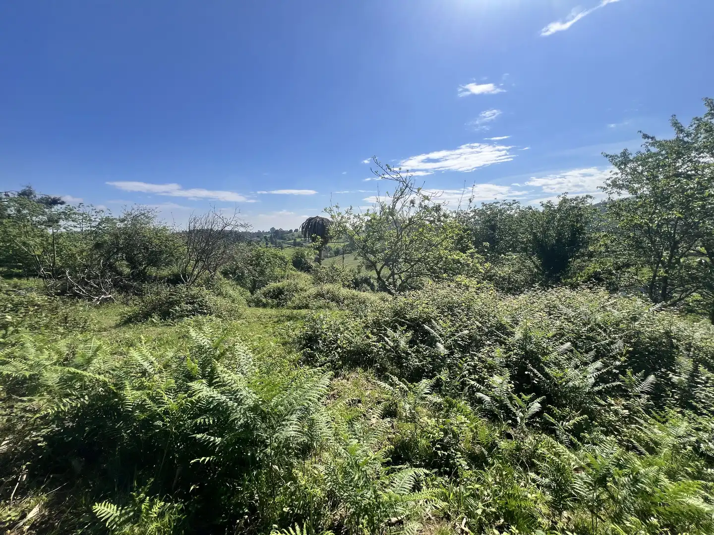 Detached homes for sale in Castrillón