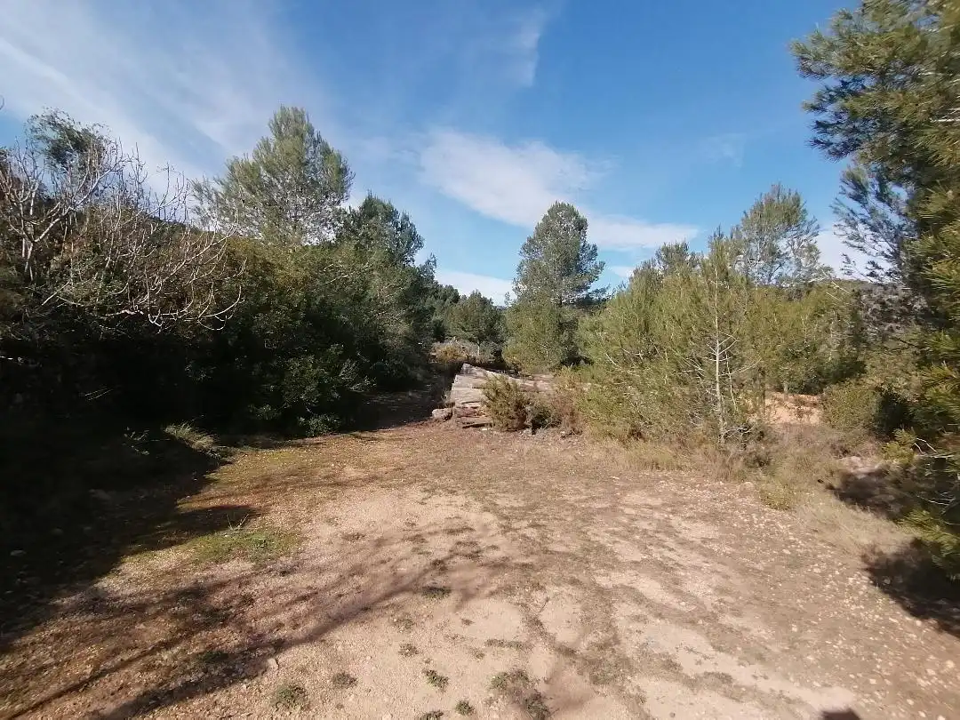 Rural land for sale in Camino de Raca, imagen 2