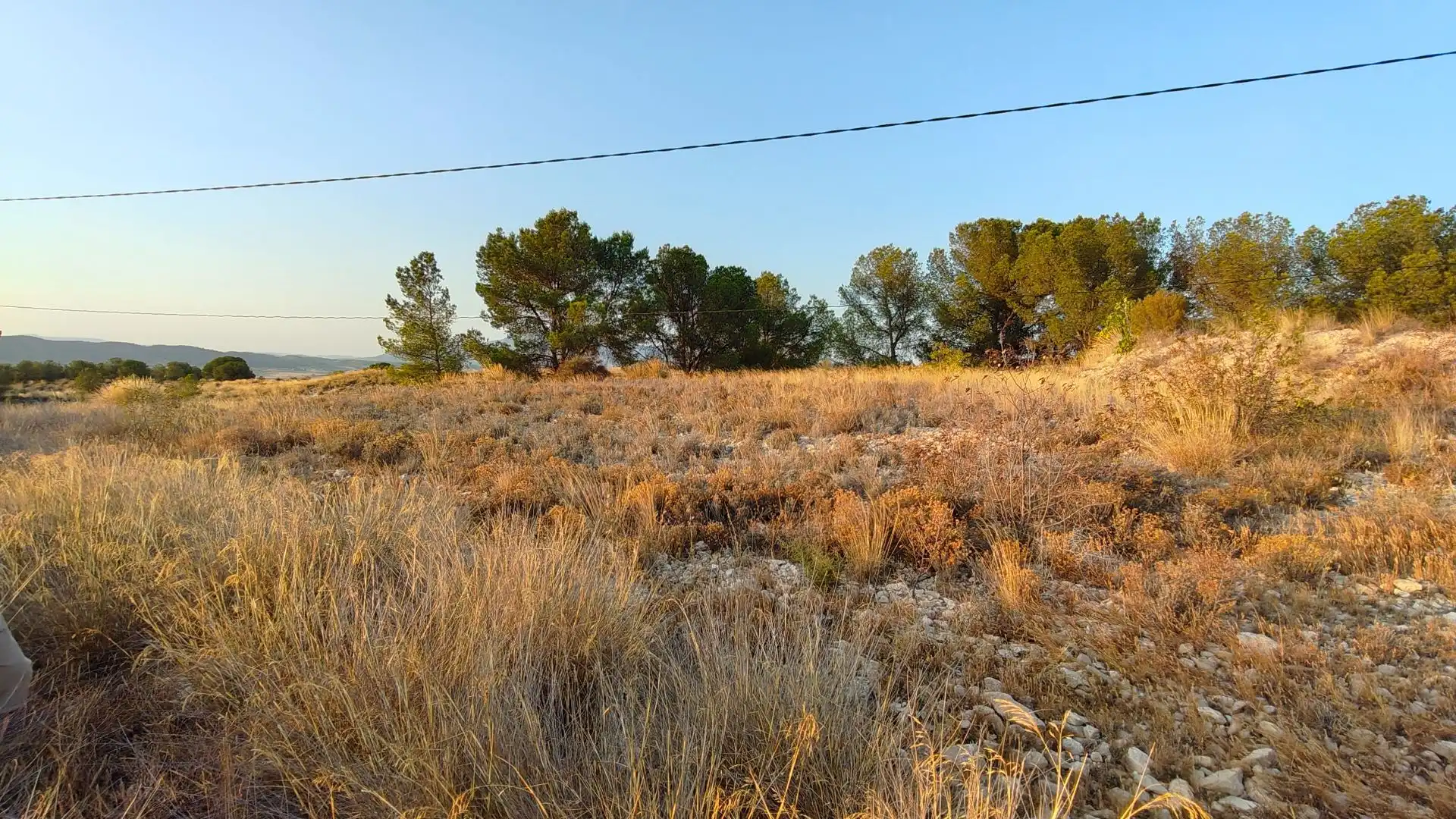 Terreno rustico in vendita a Jumilla