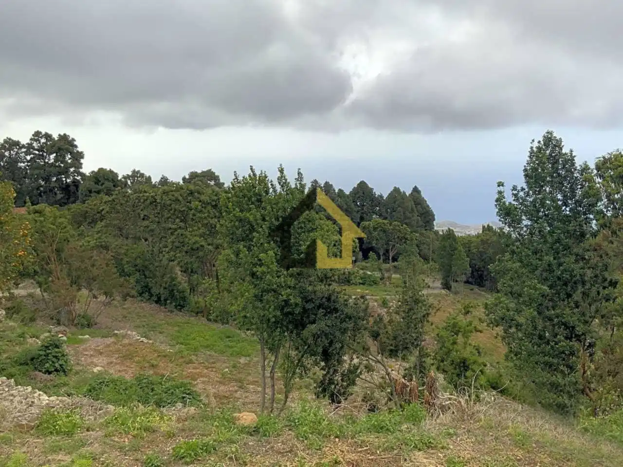 Terreno en venta en Calle La Florida, Santa Bárbara - La Florida