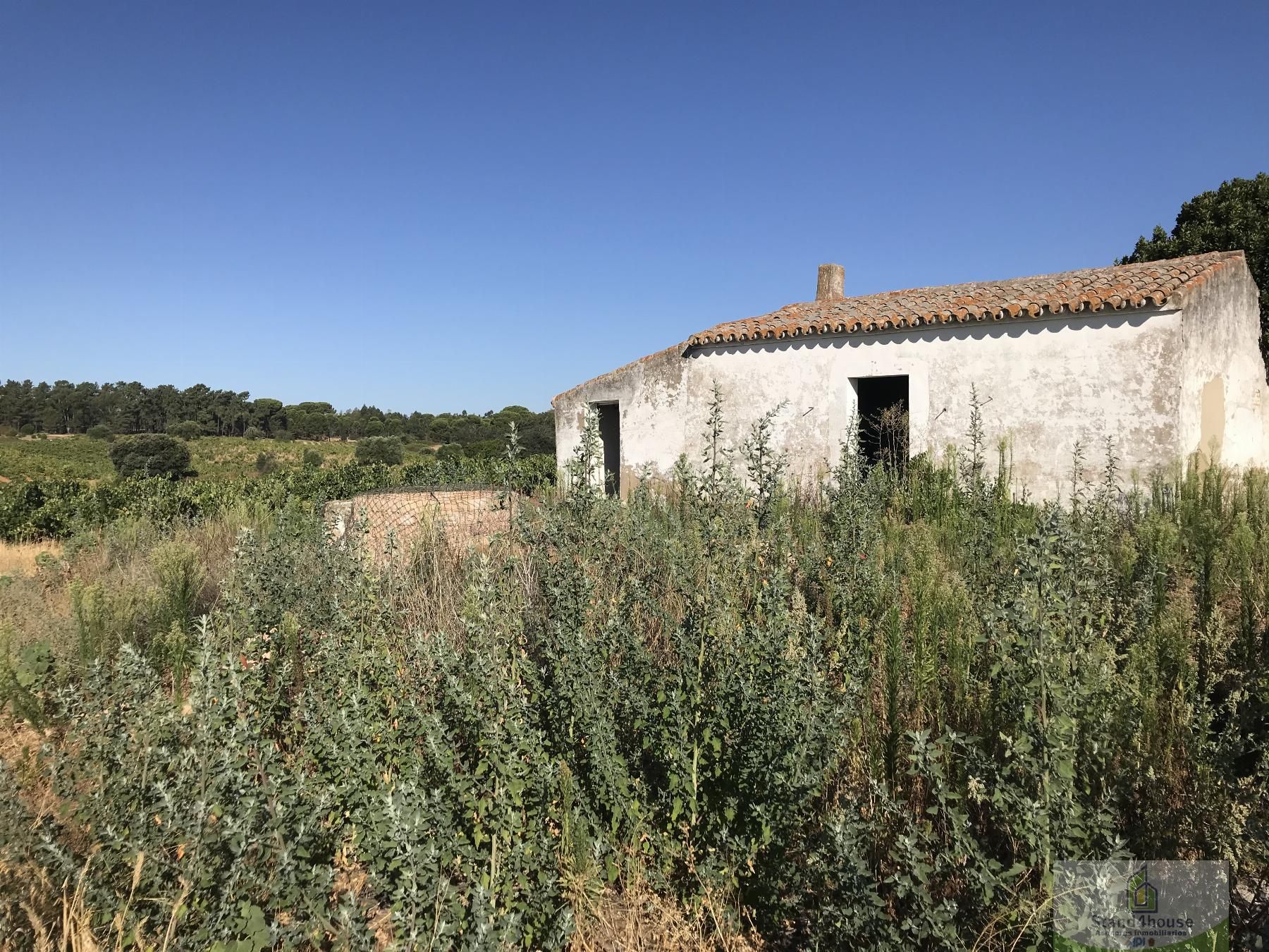 Vista exterior de Finca rústica en venda en Chucena