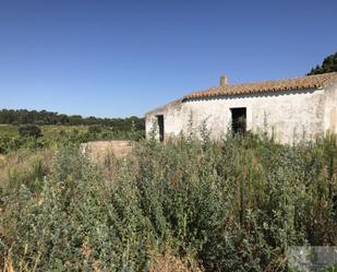 Vista exterior de Finca rústica en venda en Chucena