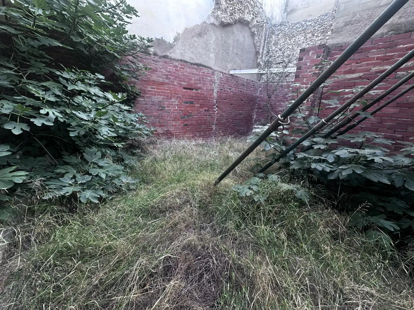 Houses for sale in Aspe  with Private garden