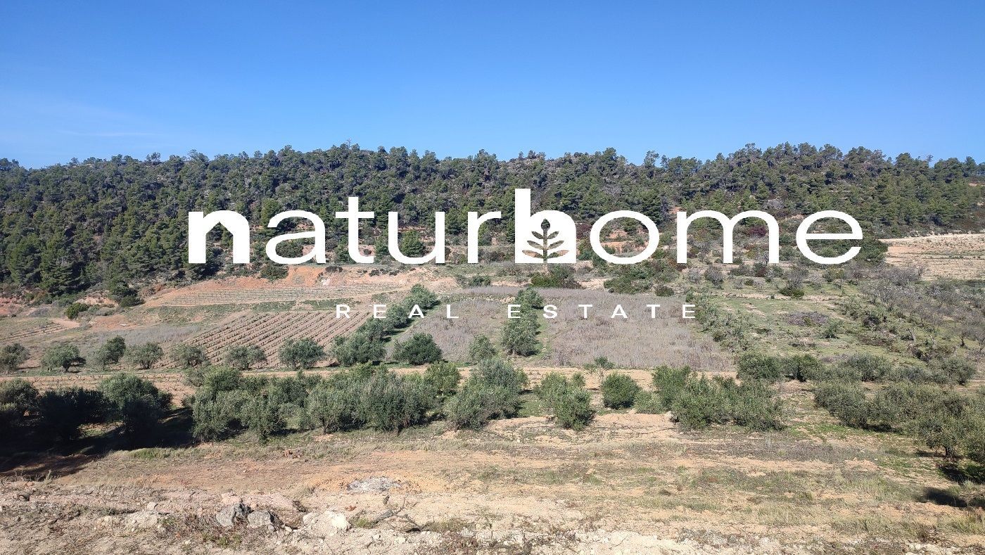 Land for sale in El Masroig