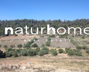 Land for sale in El Masroig