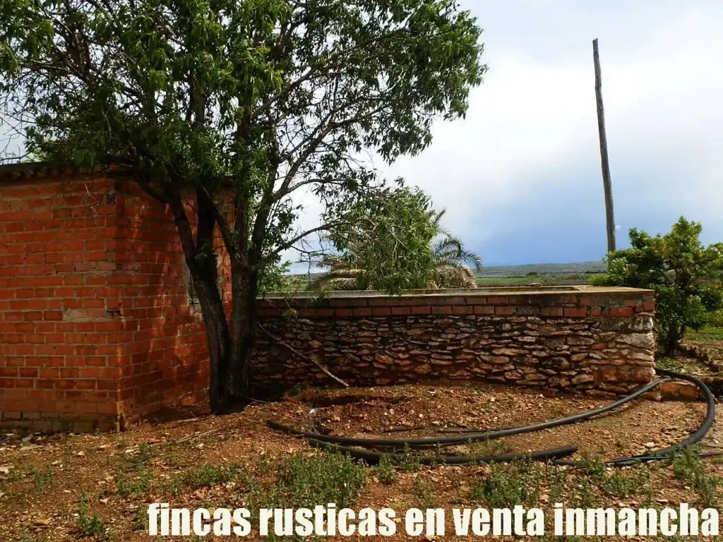 Terreno rustico in vendita a Pozuelo de Calatrava, imagen 6