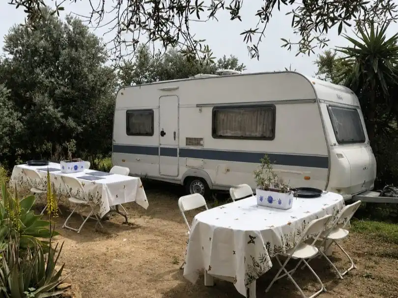 Garten von Grundstücke zur Miete in Casarabonela