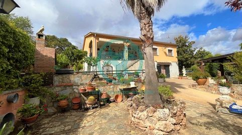 Casa de campo con piscina, huerto,perrera,gallinero,frutales,pista de frontón con vestuarios, imatge 3