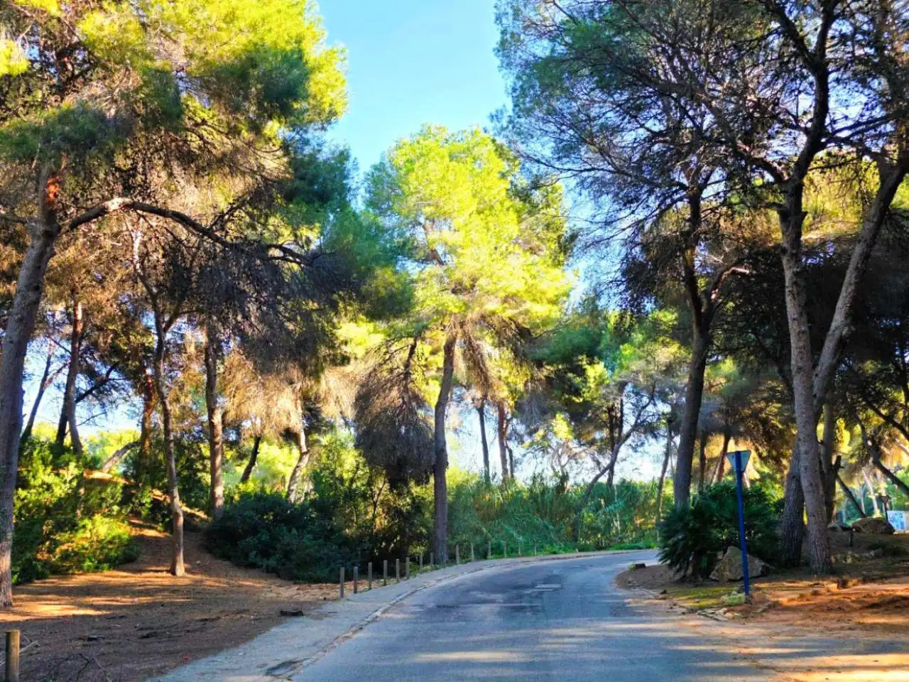 Xalet amb terrassa en venda a Orihuela Costa, imagen 8