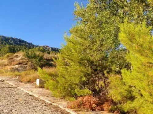 Residencial en venta en Nerpio