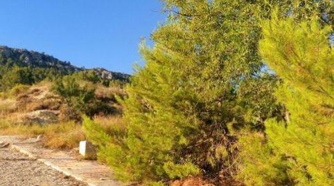 Parcela edificable en medio de una sierra mágica, immagine 5