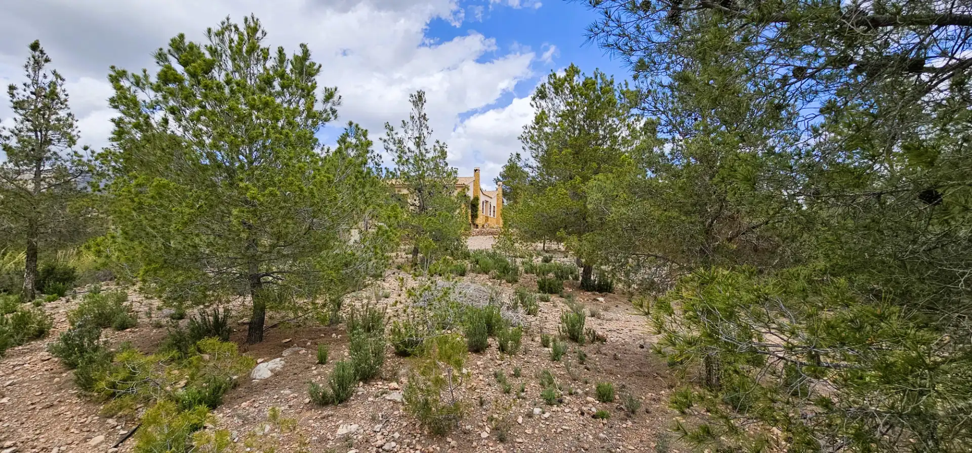 Casa o xalet en venda en Aledo amb Jardí privat, Terrassa i Traster