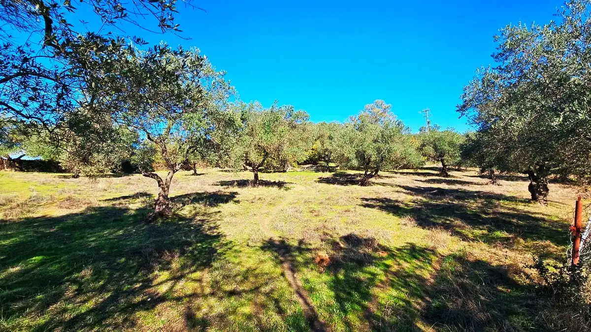 Casa rústica amb jardí en venda a Aracena, imagen 24