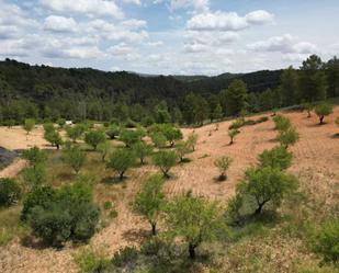 Residential for sale in Vallejo De La Tia Casta, Mira