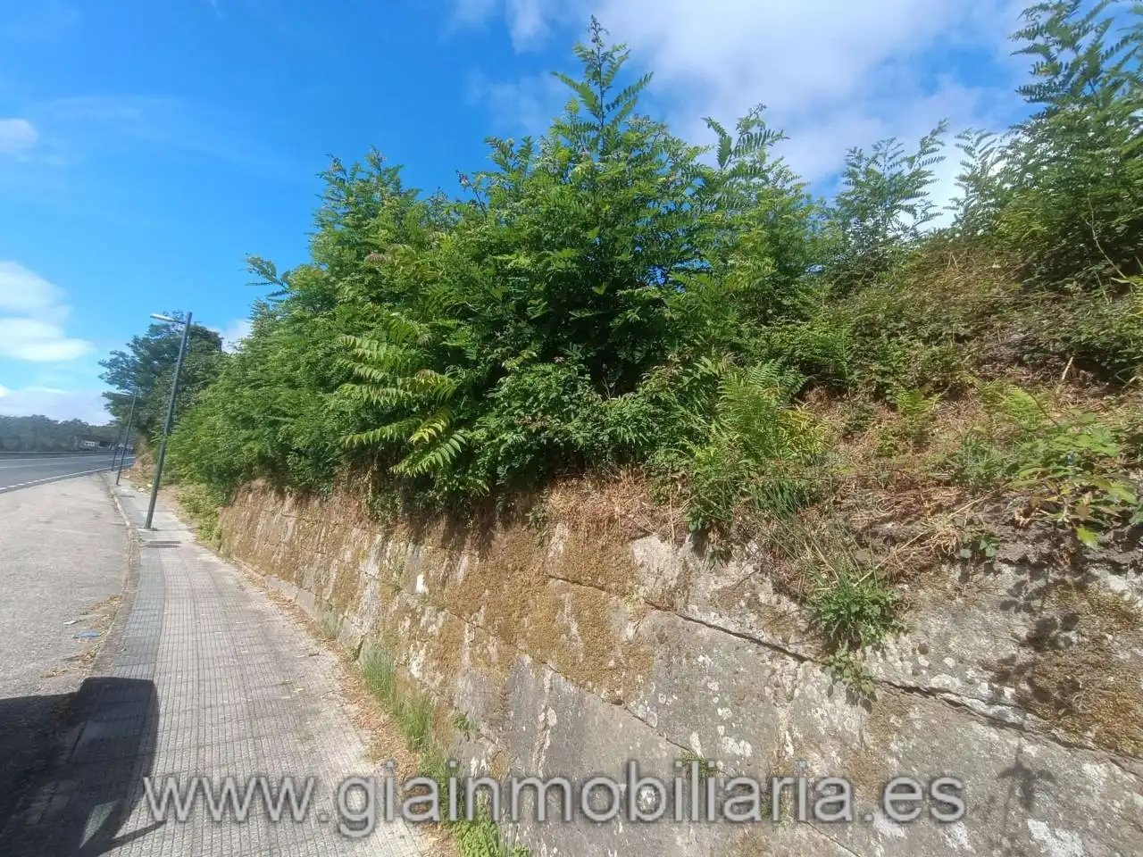 Lands and plots for sale in Calle Balneario