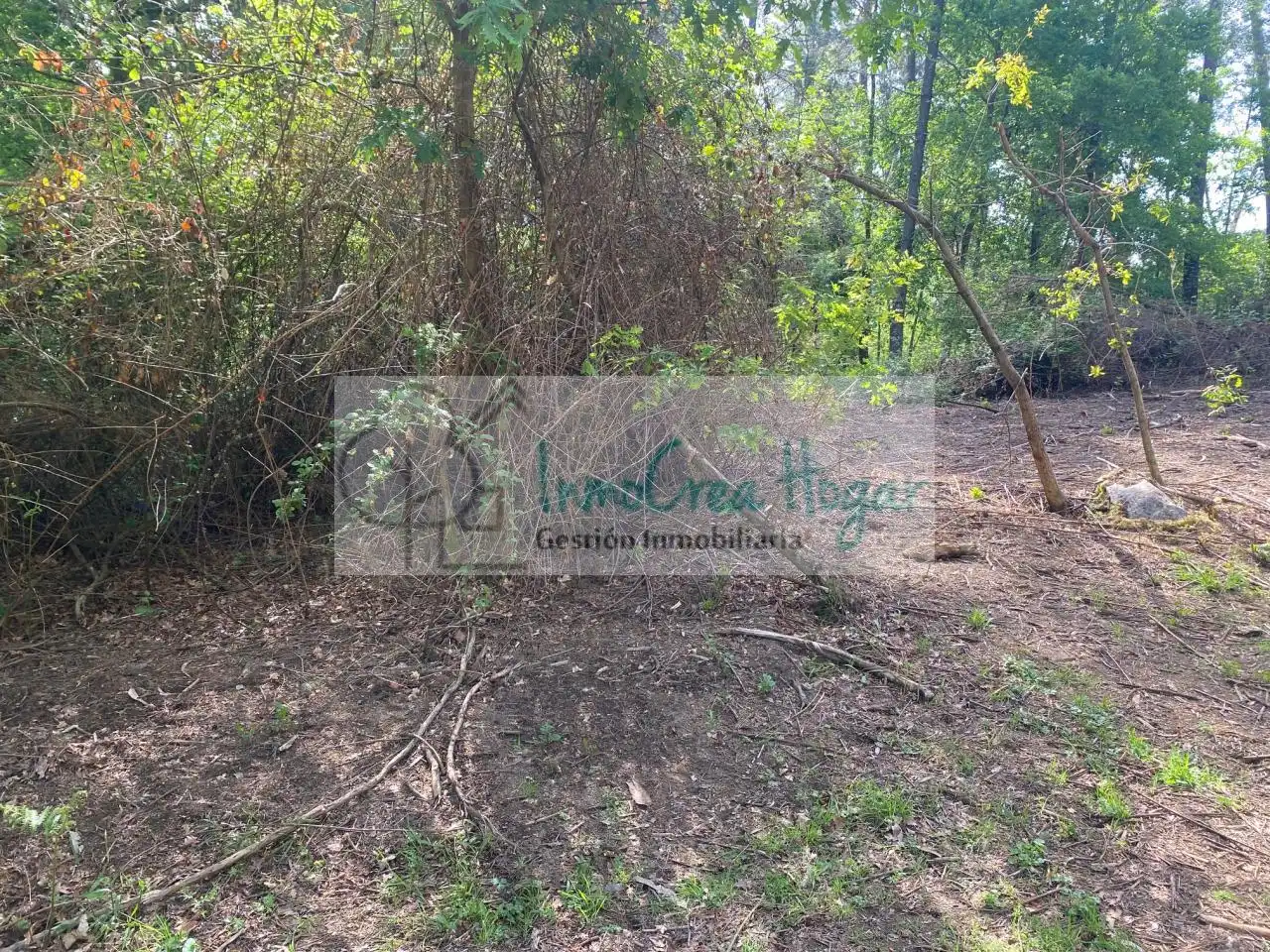 Terreny rústic en venda a Salvaterra de Miño, imagen 5