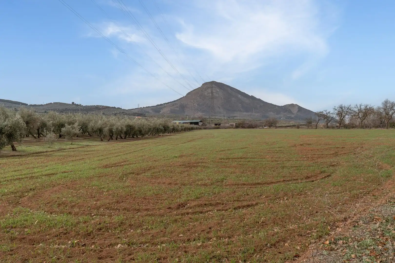 Terrenys i solars en venda a Polígono 23 Parcela 63 LA ZANJA. ALBOLOTE (GRANAD 23, imagen 48
