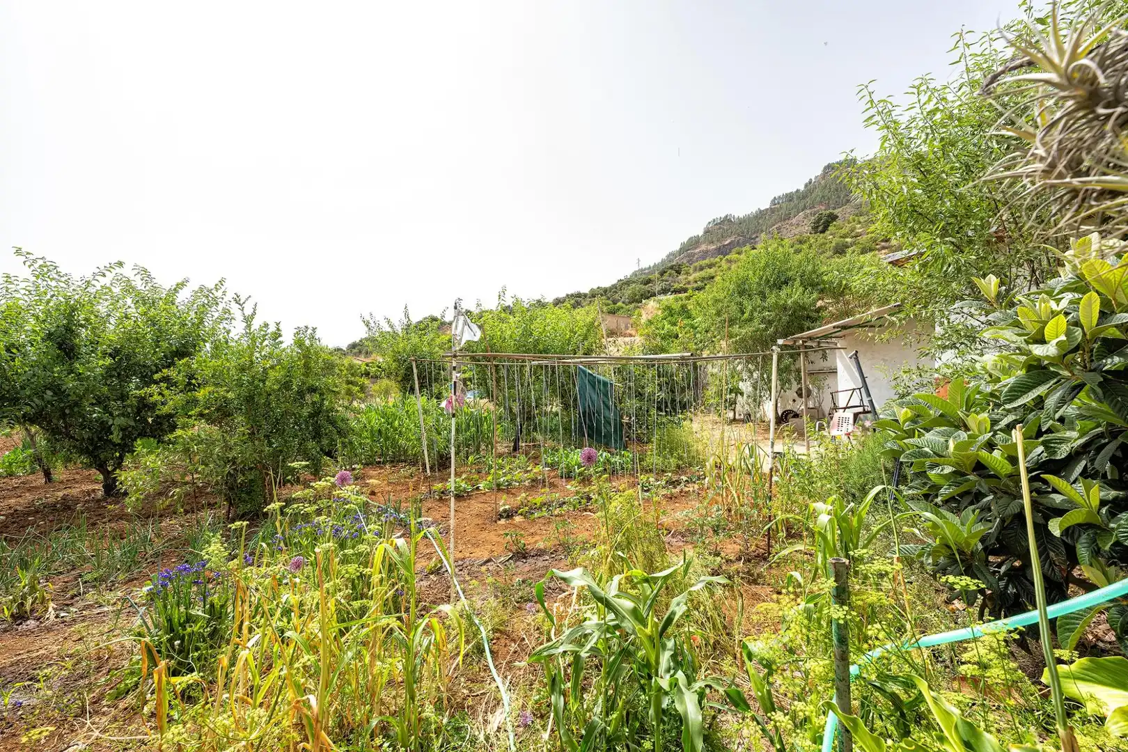 Casa o chalet en venta en Valsequillo de Gran Canaria con Jardín privado y Terraza