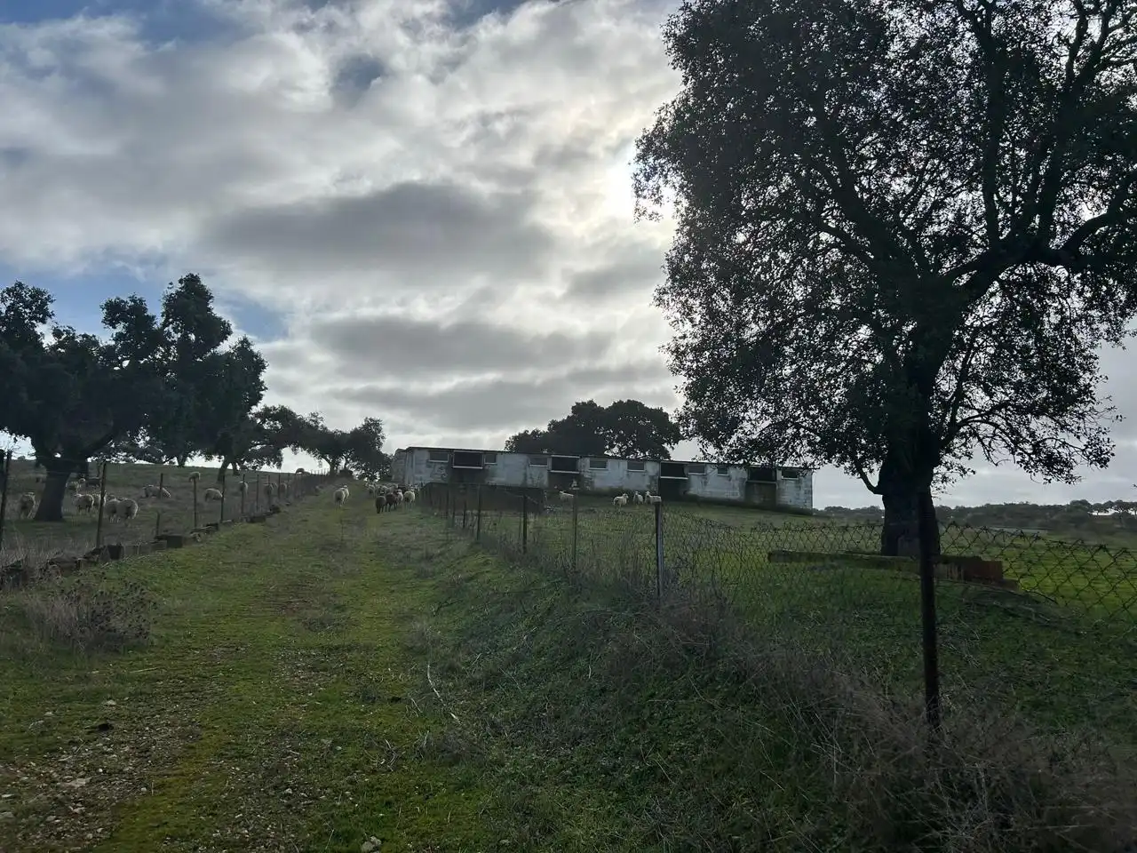 Lands and plots for sale in *, imagen 3