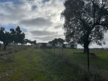Lands and plots for sale in *