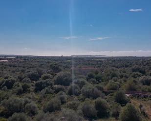 Land for sale in Ses Salines