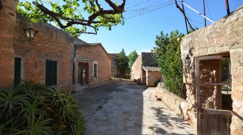 Foto 3 de Finca rústica en venda a Sa Casa Blanca, Palma de Mallorca