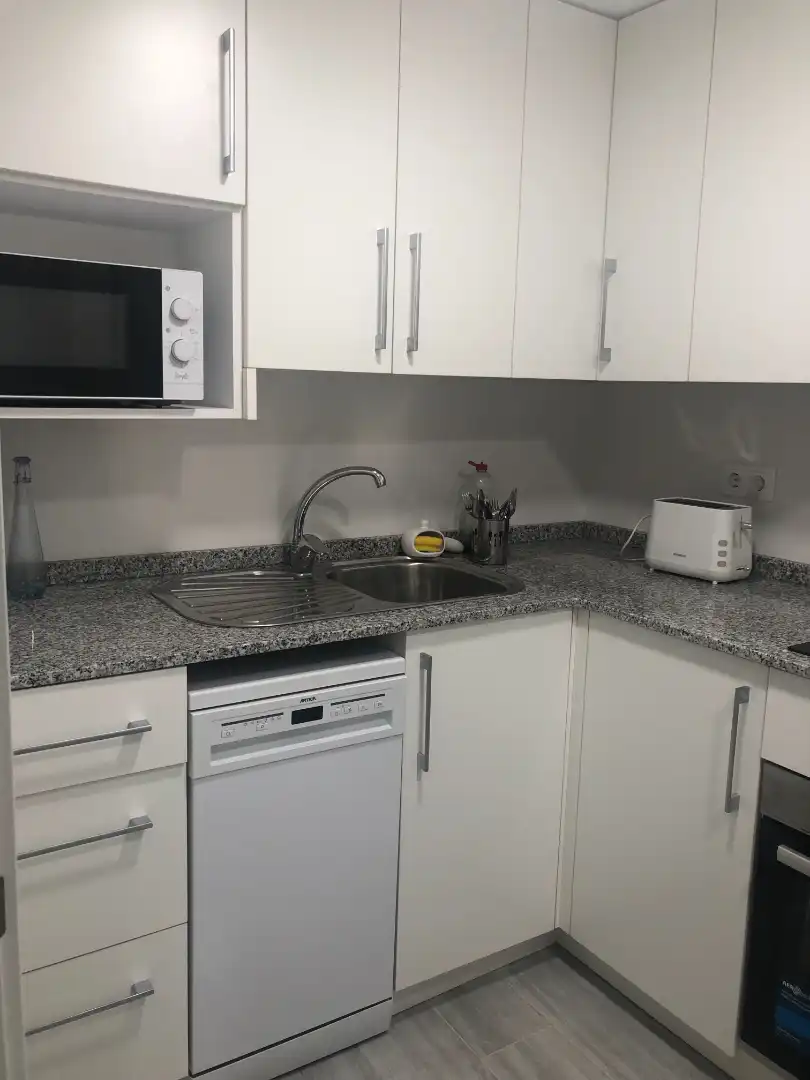 Kitchen of Apartments for rent in Santa Pola  with Terrace, Furnished and Oven