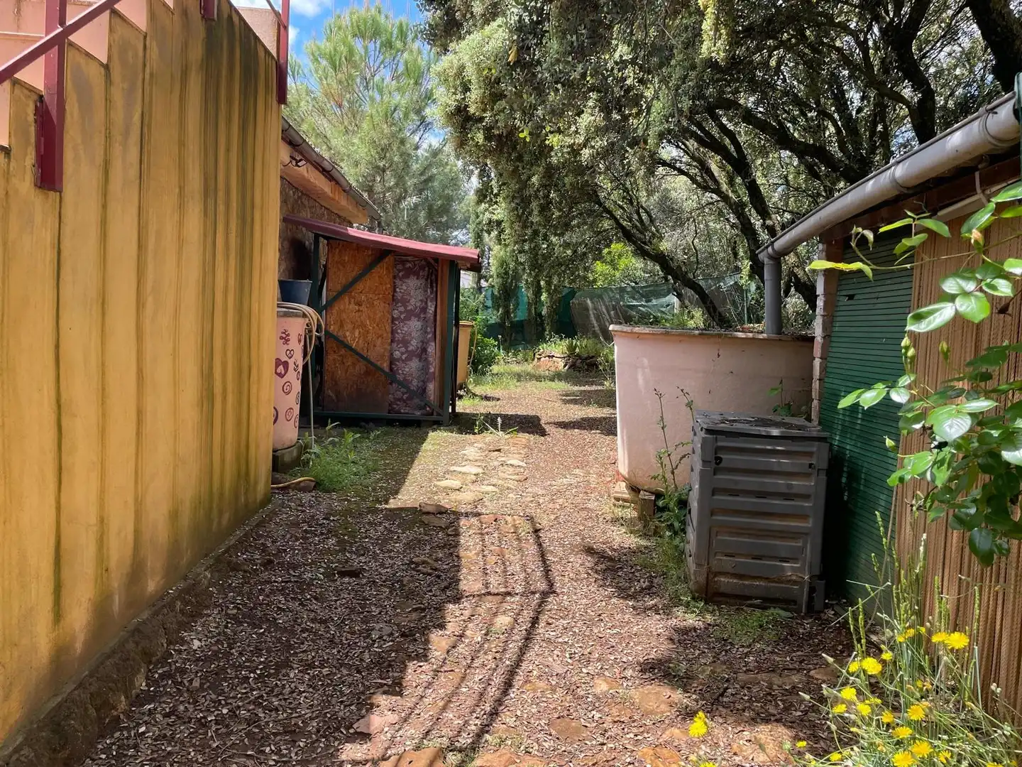 Jardí de Finca rústica en venda en Carrión de Calatrava amb Calefacció, Terrassa i Traster