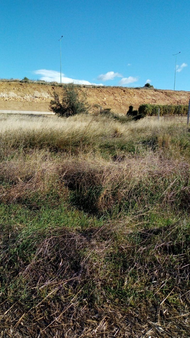 Finca rústica en venta en Llíria