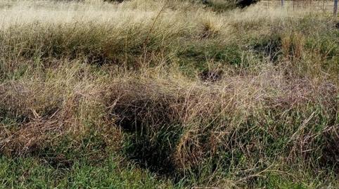 Photo 3 of Country house for sale in Parque de la Bombilla, Valencia