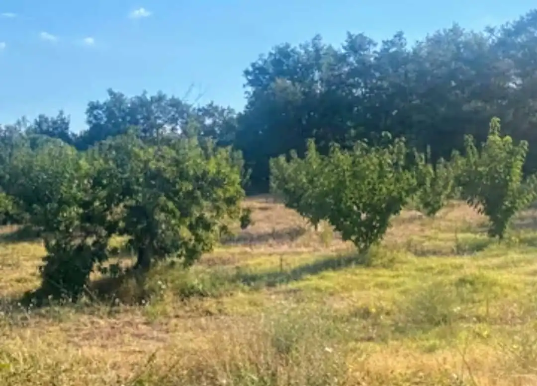 Terreni e lotti in vendita a Avenida de la Vera 17, imagen 5