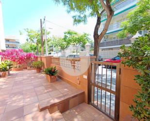 Exterior view of House or chalet to rent in  Palma de Mallorca
