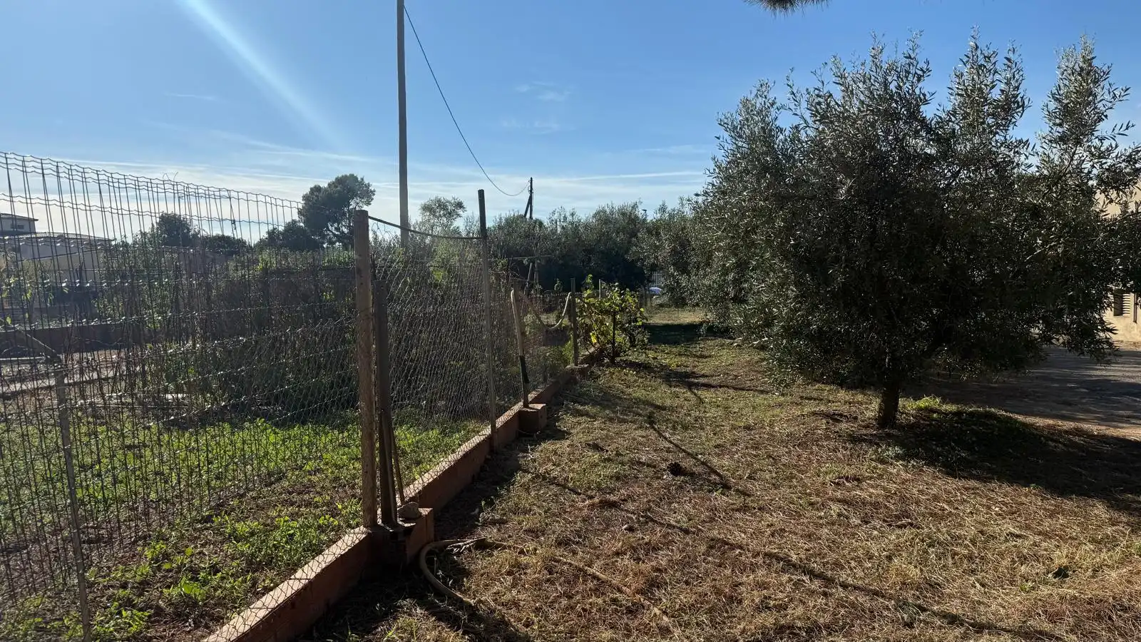 Residential land for sale in Viladamat, imagen 3