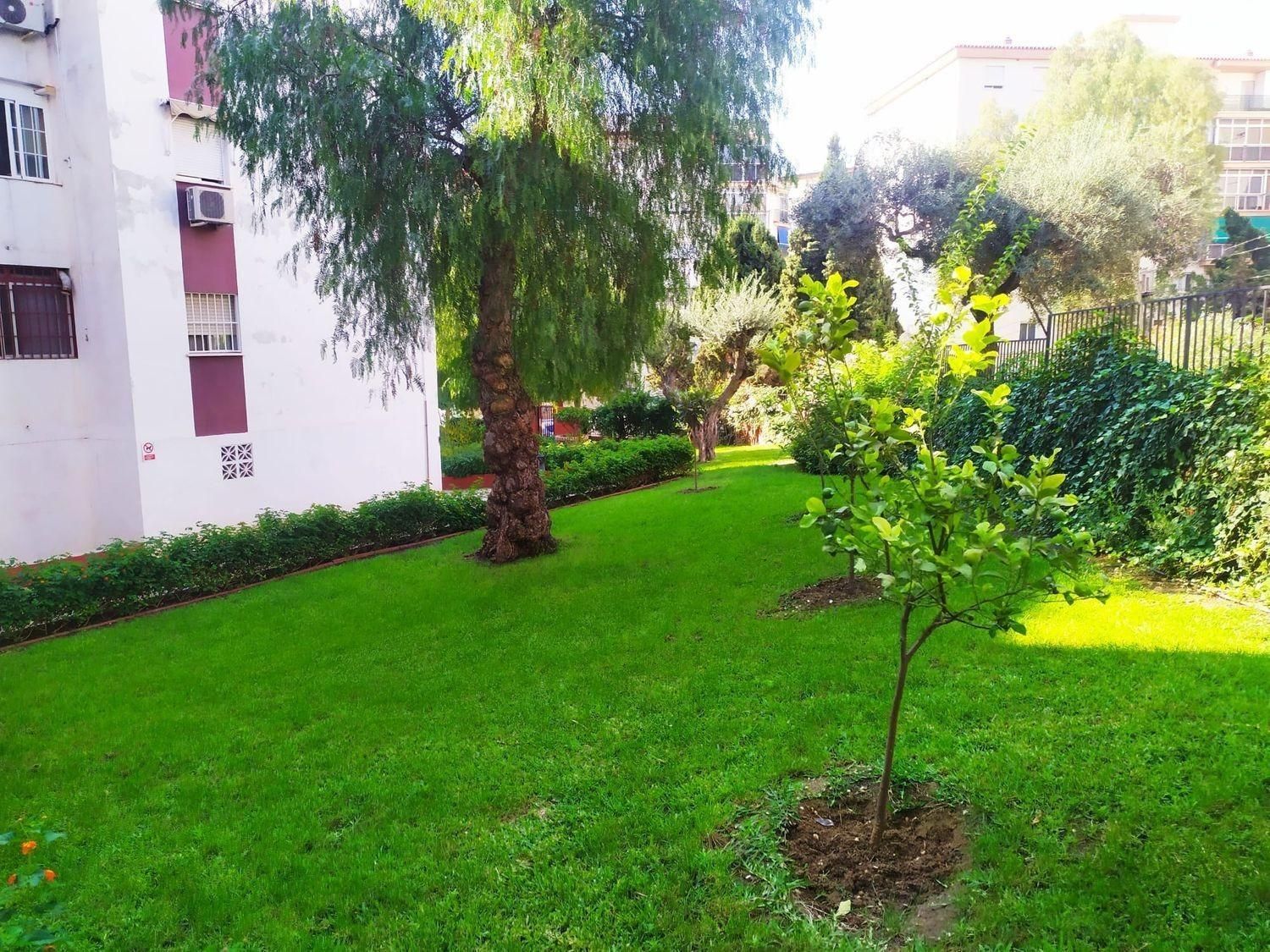 Jardí de Pis en venda en Málaga Capital amb Aire condicionat, Jardí privat i Terrassa