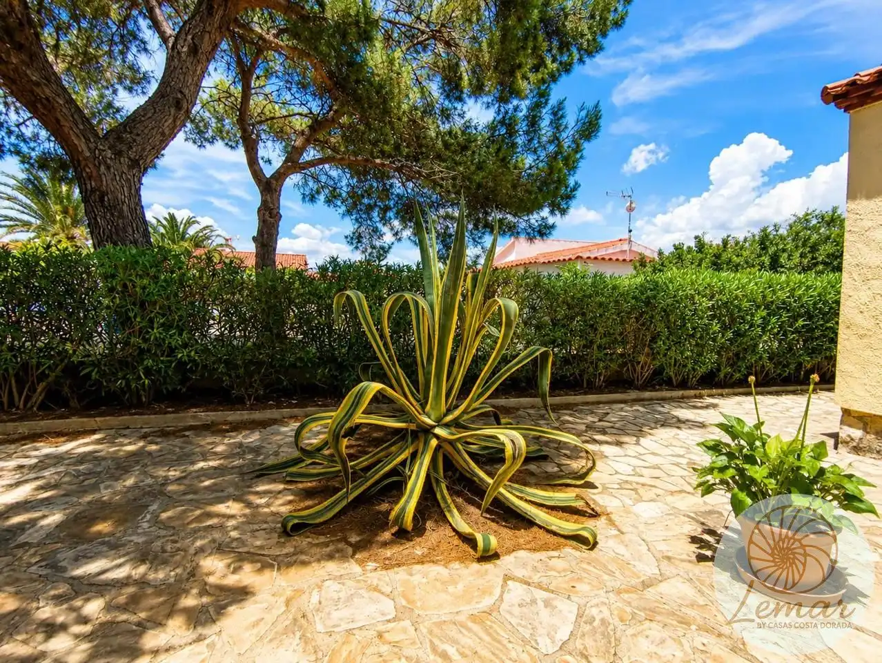 House with pool for sale in Constitució, imagen 42