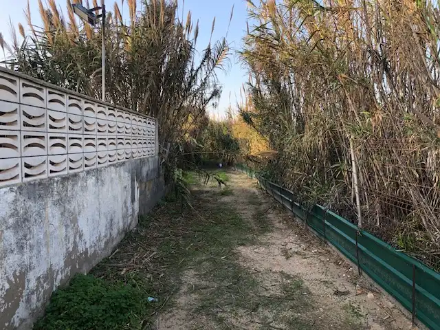 Casa o chalet en venta en Grau de Gandia - Venecia - Marenys de Rafalcaid