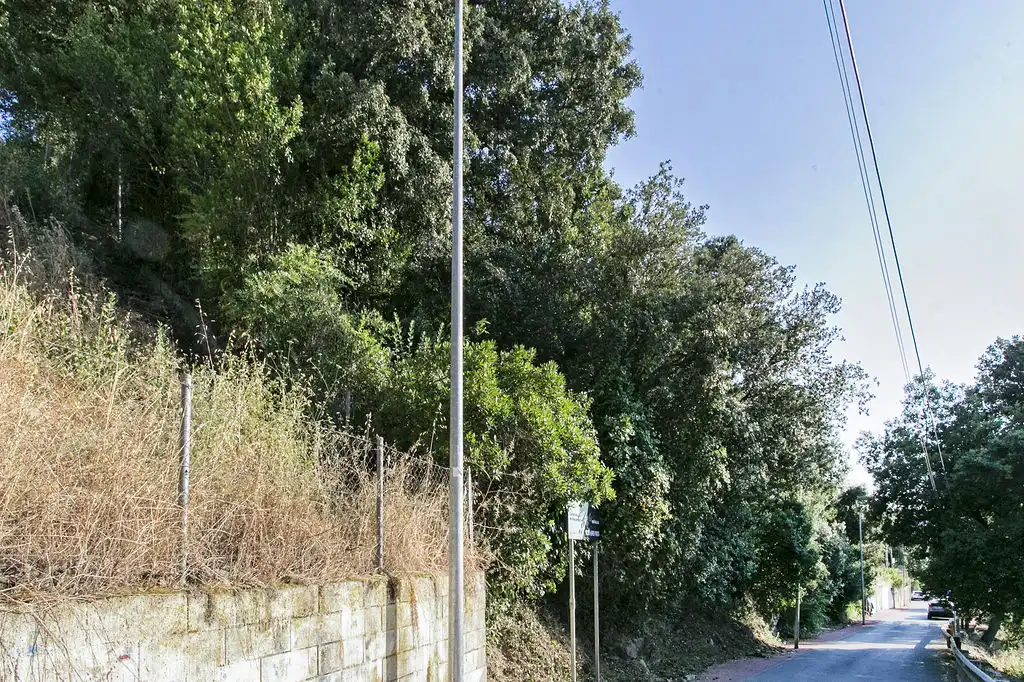 Rural land for sale in C/ Major del Rectoret, imagen 8