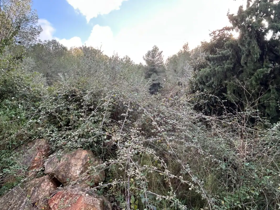Rural land for sale in Partida Tancaes, imagen 22