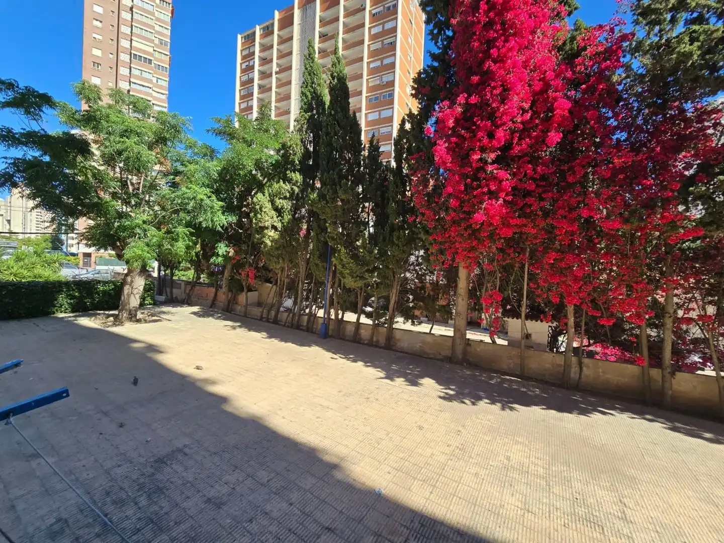 Vista exterior de Estudi en venda en Benidorm amb Aire condicionat, Moblat i Piscina comunitària