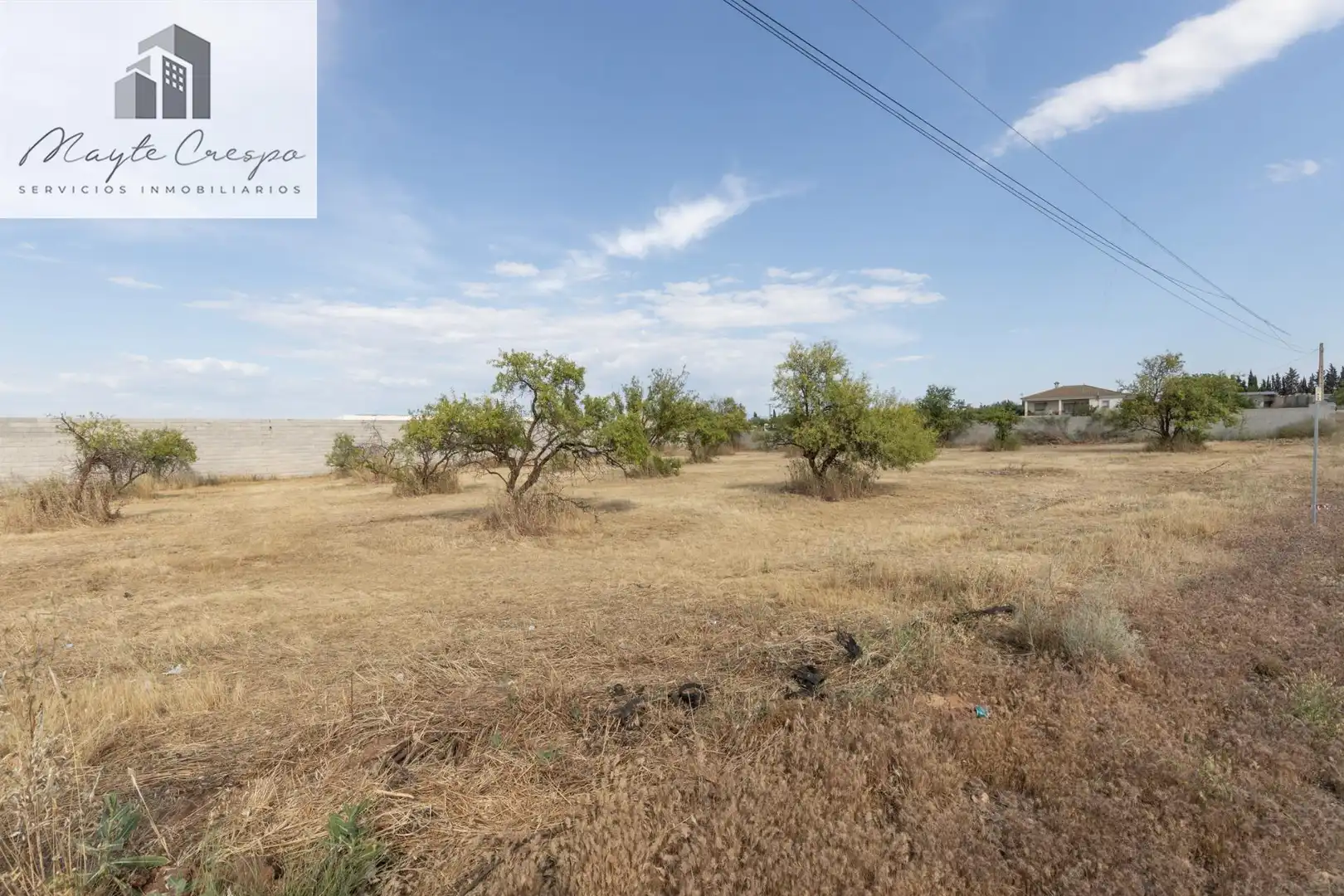 Rural land for sale in Moraleda de Zafayona, imagen 12