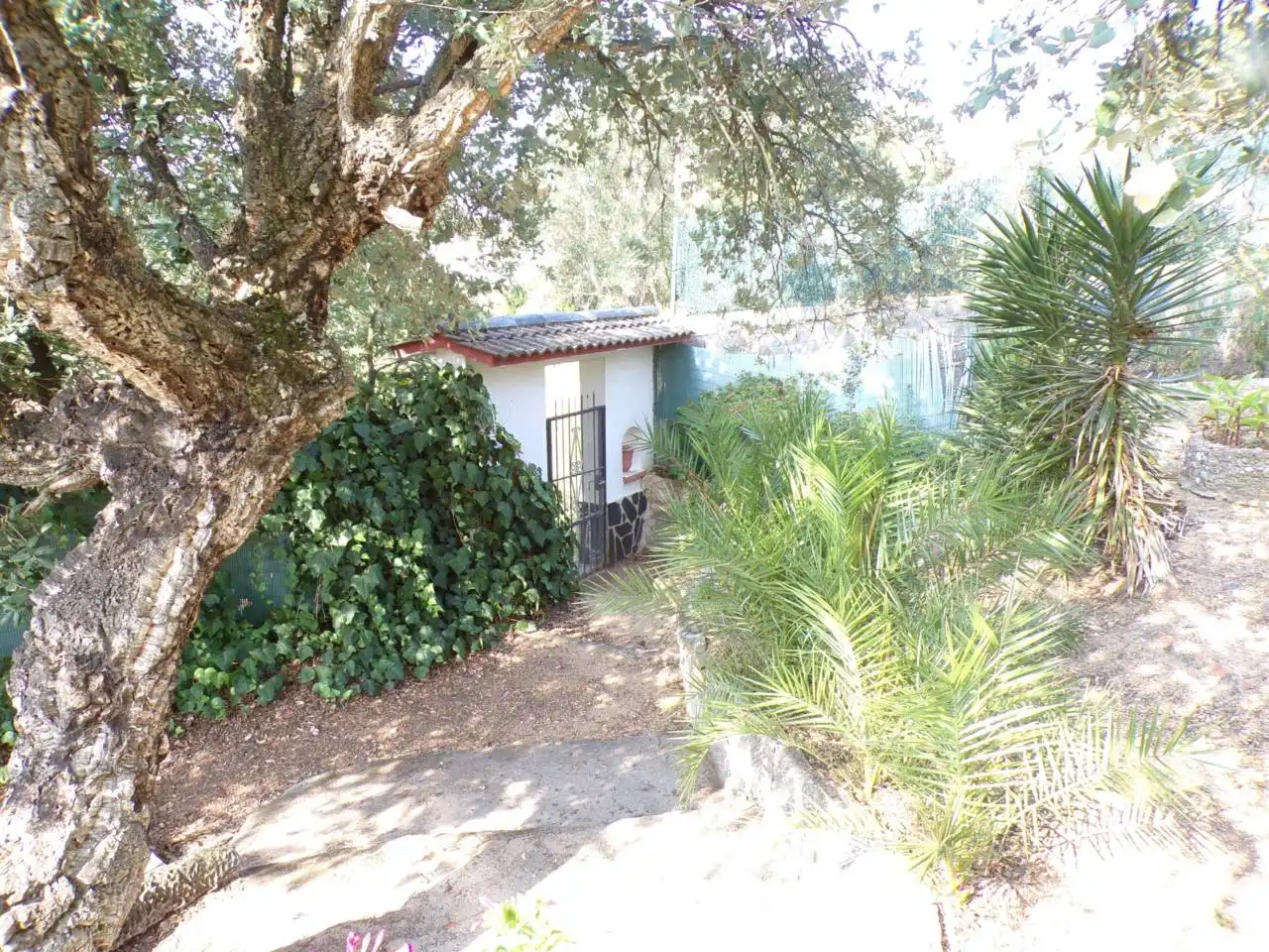 Maison avec jardin à vendre à Calle carrer breda 1, imagen 34