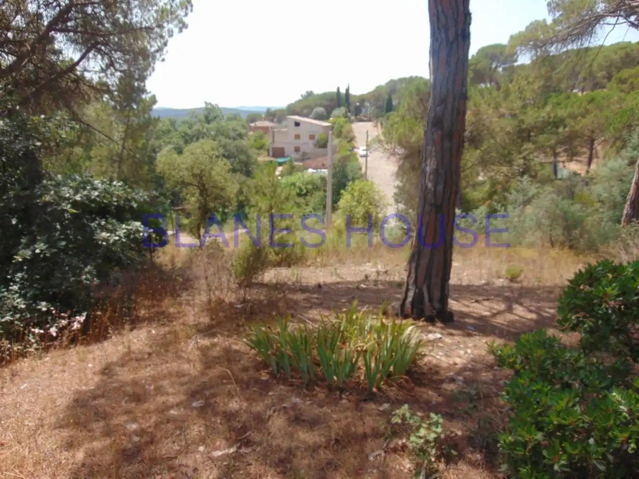 Residential land for sale in Calle PUIGMAL, imagen 5