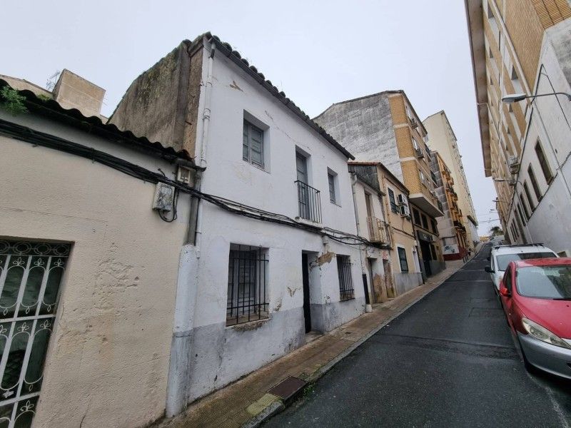 Exterior view of House or chalet for sale in Plasencia  with Private garden