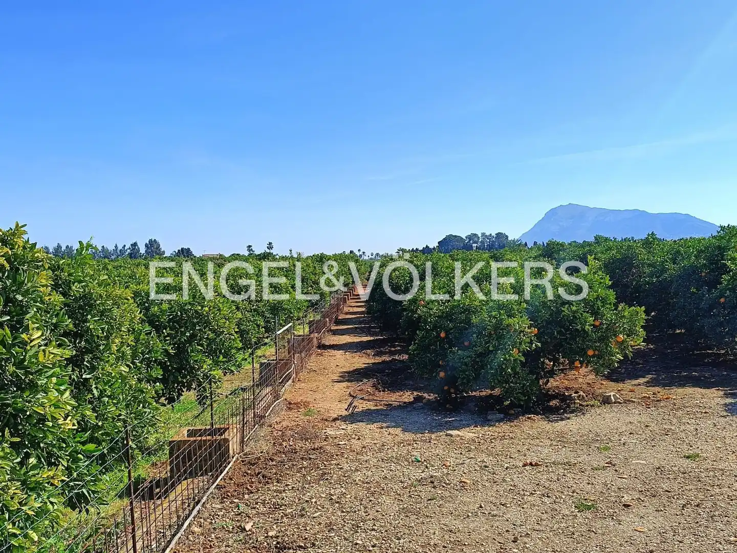 Lands and plots for sale in Els Poblets, imagen 6