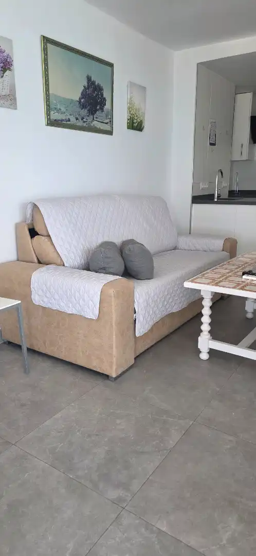 Study for rent in Avenida Europa, 82, Centro Internacional