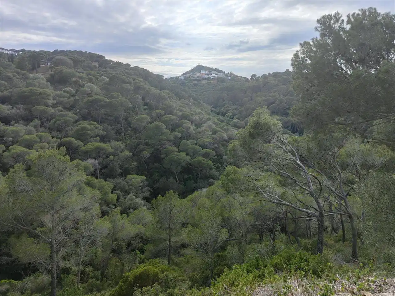 Terreno en venta en Carretera Tuna, 35, Aiguafreda - Sa Tuna