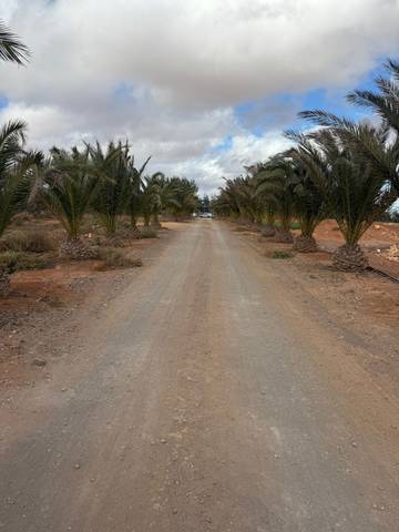 Terreno en Venta en Valles de Ortega