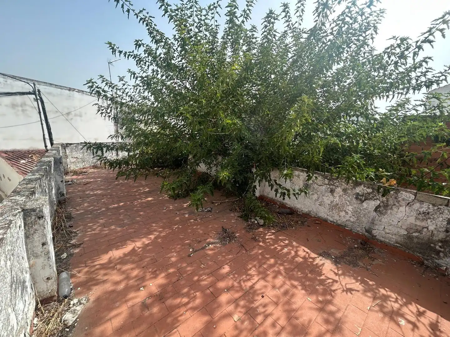 Casa o chalet en venta en Utrera