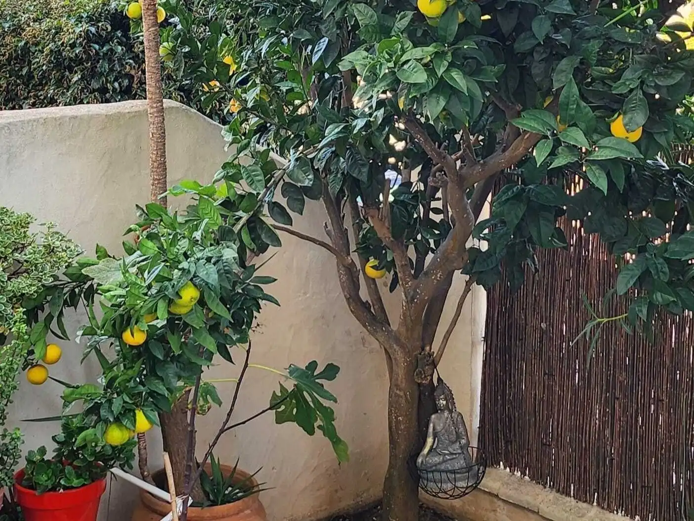 Home for sale in Tarifa ciudad, imagen 20