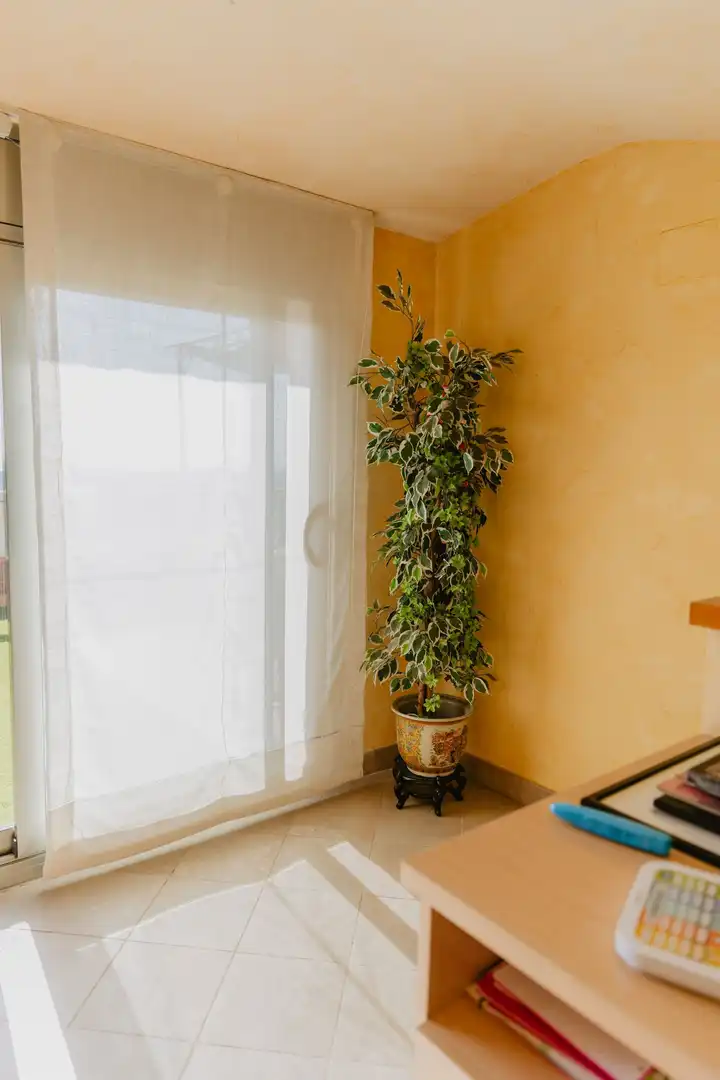 Garden of Houses for sale in Santa Coloma de Gramenet  with Air Conditioner, Heating and Private garden